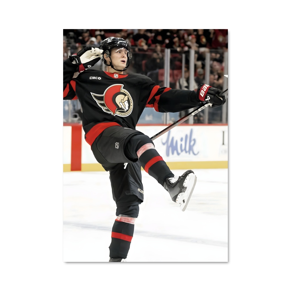 Poster Patinage Éblouissant – affiche Hockey sur glace